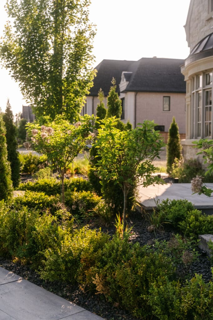 Front yard landscape design with evergreens and planting beds